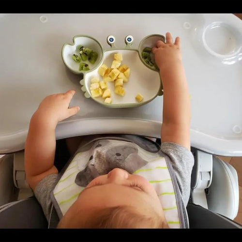 Assiette bebe  compartimentée theme marin antidérapante royaumedebebeetmaman.com.