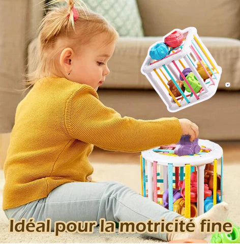 Cube D'activité Bébé | Babycube™